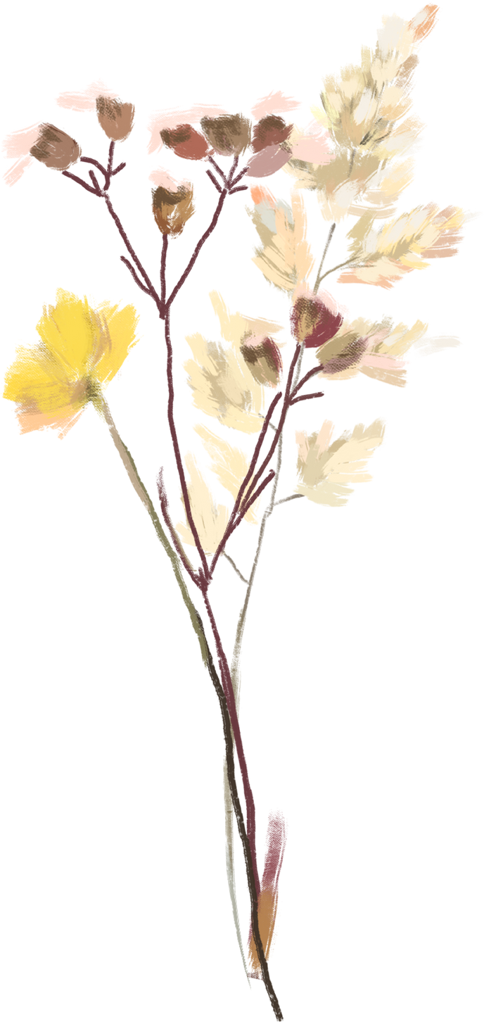 Dried Flower Branches